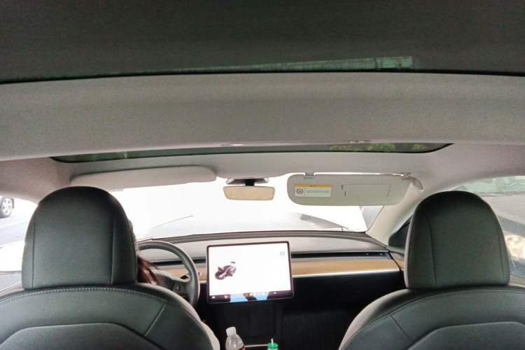 Used Tesla Model 3 2022 Rear-Wheel-Drive Version Headliner