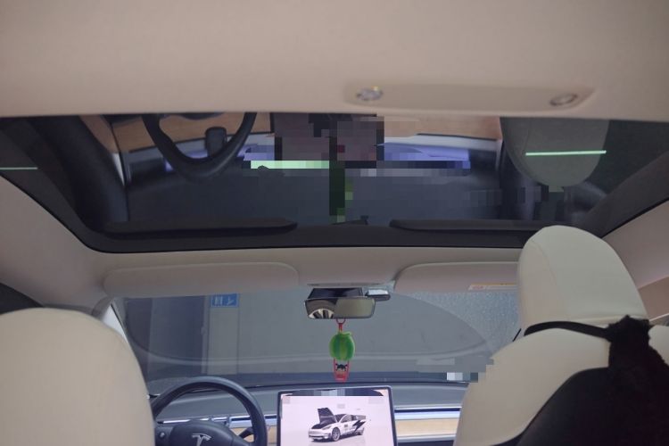 Used Tesla Model 3 2022 Rear-Wheel-Drive Version Headliner