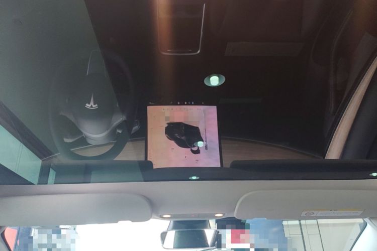 Used Tesla Model 3 2022 Rear-Wheel-Drive Version Headliner
