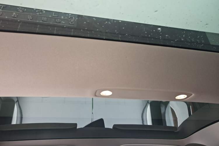 Used Tesla Model 3 2022 Rear-Wheel-Drive Version Headliner