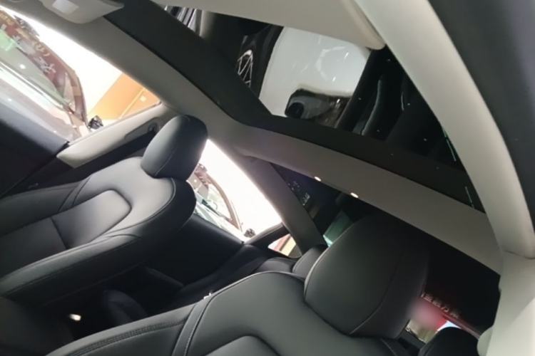 Used Tesla Model 3 2022 Rear-Wheel-Drive Version Headliner