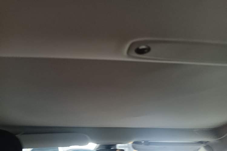Used Tesla Model 3 2022 Rear-Wheel-Drive Version Headliner