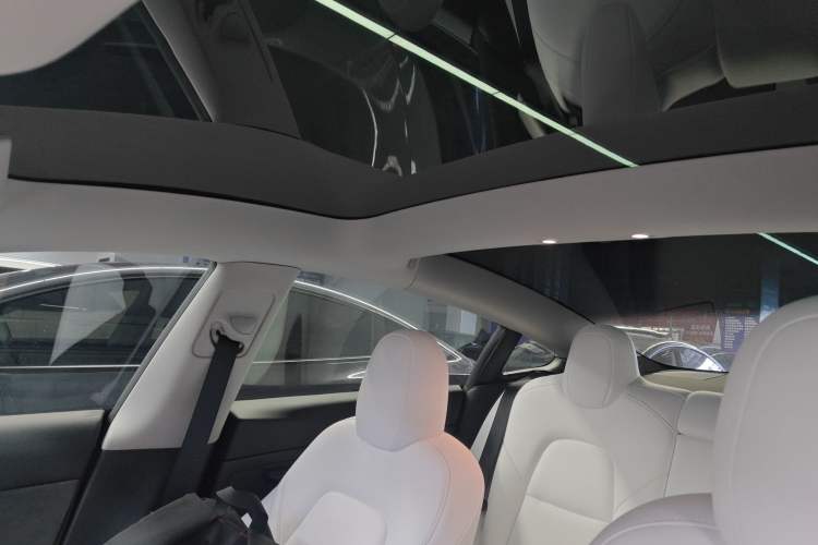 Used Tesla Model 3 2022 Performance High-Performance All-Wheel-Drive Version Headliner