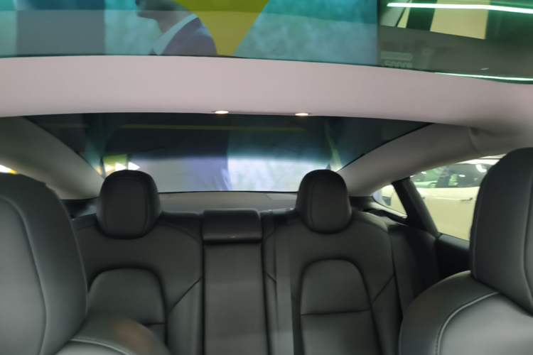 Used Tesla Model 3 2022 Performance High-Performance All-Wheel-Drive Version Headliner