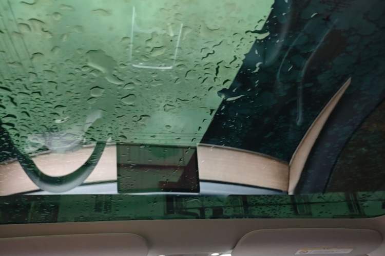 Used Tesla Model 3 2022 Rear-Wheel-Drive Version Headliner