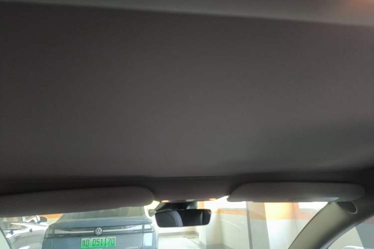 Used Tesla Model 3 2022 Rear-Wheel-Drive Version Headliner