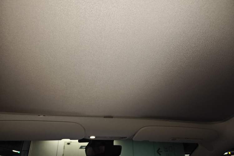 Used Tesla Model 3 2022 Rear-Wheel-Drive Version Headliner
