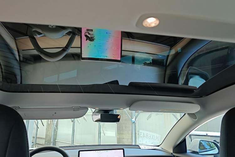 Used Tesla Model 3 2022 Performance High-Performance All-Wheel-Drive Version Headliner