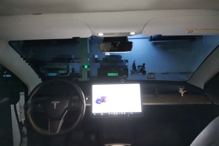 Used Tesla Model 3 2022 Rear-Wheel-Drive Version Headliner