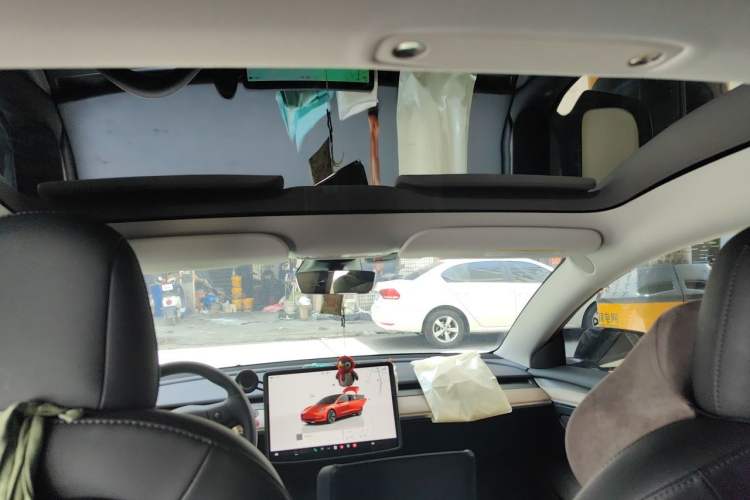 Used Tesla Model 3 2022 Rear-Wheel-Drive Version Headliner