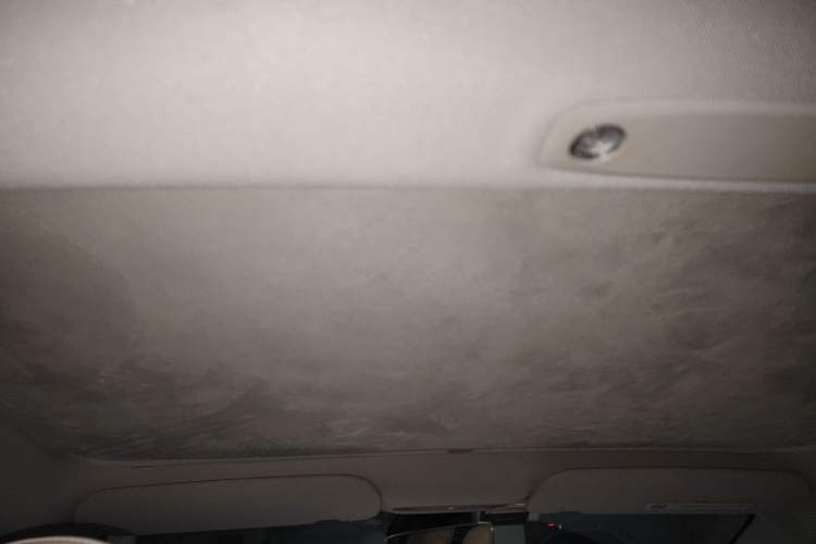 Used Tesla Model 3 2022 Rear-Wheel-Drive Version Headliner