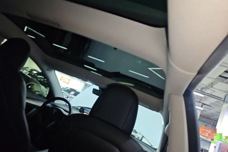 Used Tesla Model 3 2022 Rear-Wheel-Drive Version Headliner