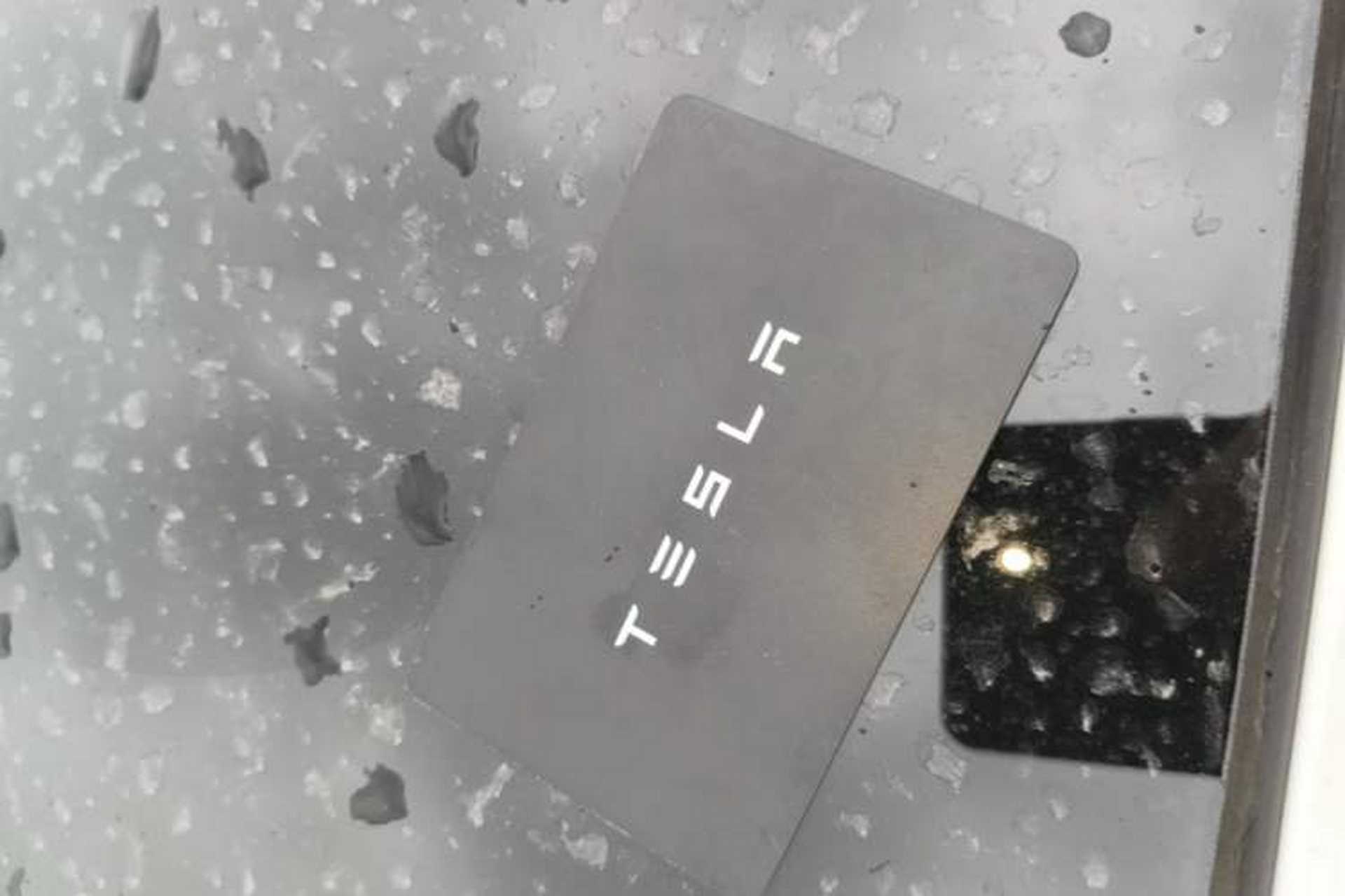 Used Tesla Model 3 2022 Rear-Wheel-Drive Version Interior 1