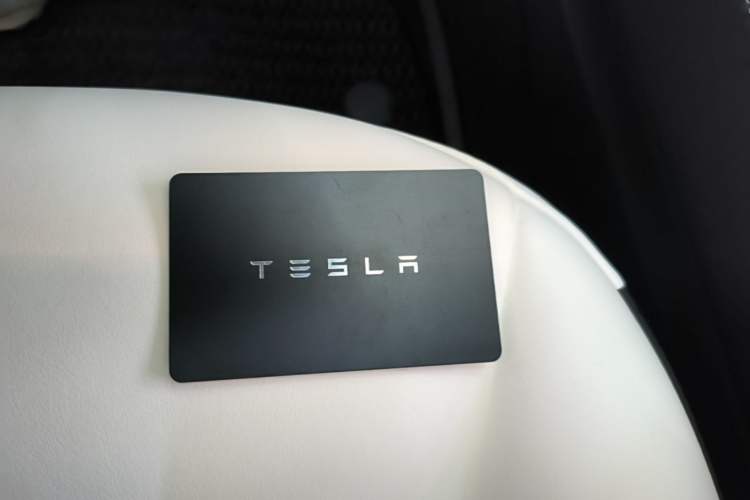 Used Tesla Model 3 2022 Rear-Wheel-Drive Version Interior 1