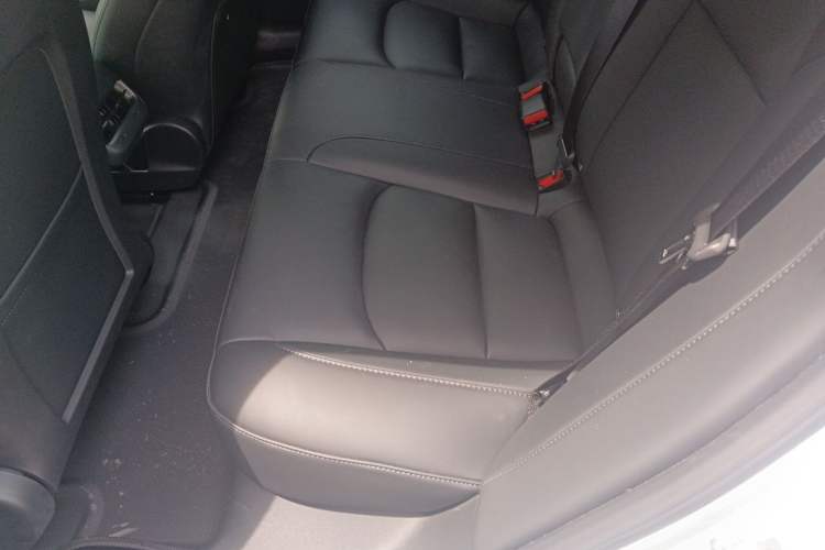 Used Tesla Model 3 2022 Rear-Wheel-Drive Version Interior 4
