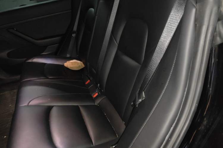 Used Tesla Model 3 2022 Rear-Wheel-Drive Version Interior 4