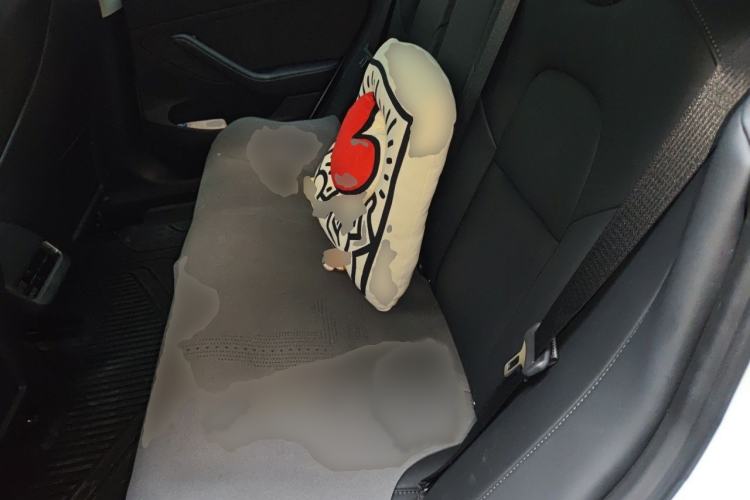 Used Tesla Model 3 2022 Rear-Wheel-Drive Version Interior 4