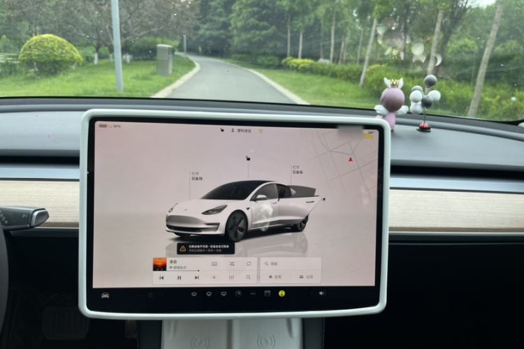 Used Tesla Model 3 2022 Rear-Wheel-Drive Version Interior 5