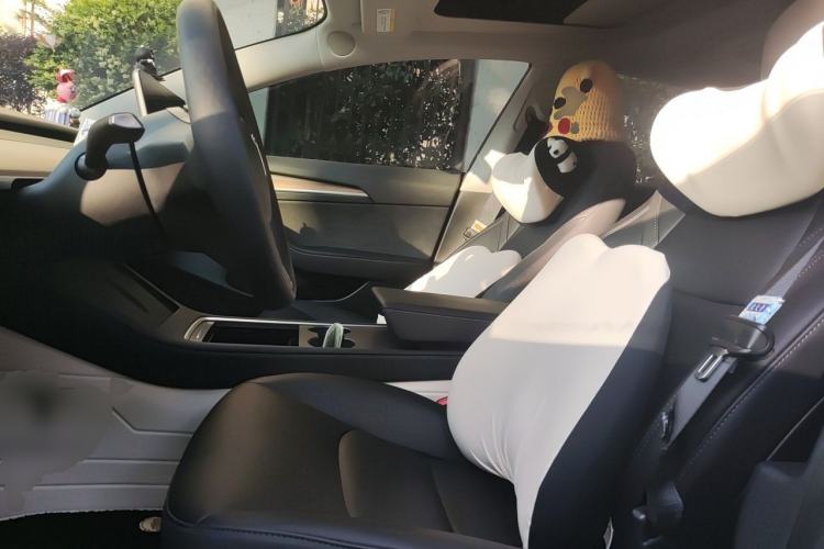 Used Tesla Model 3 2022 Rear-Wheel-Drive Version Left Front Seat