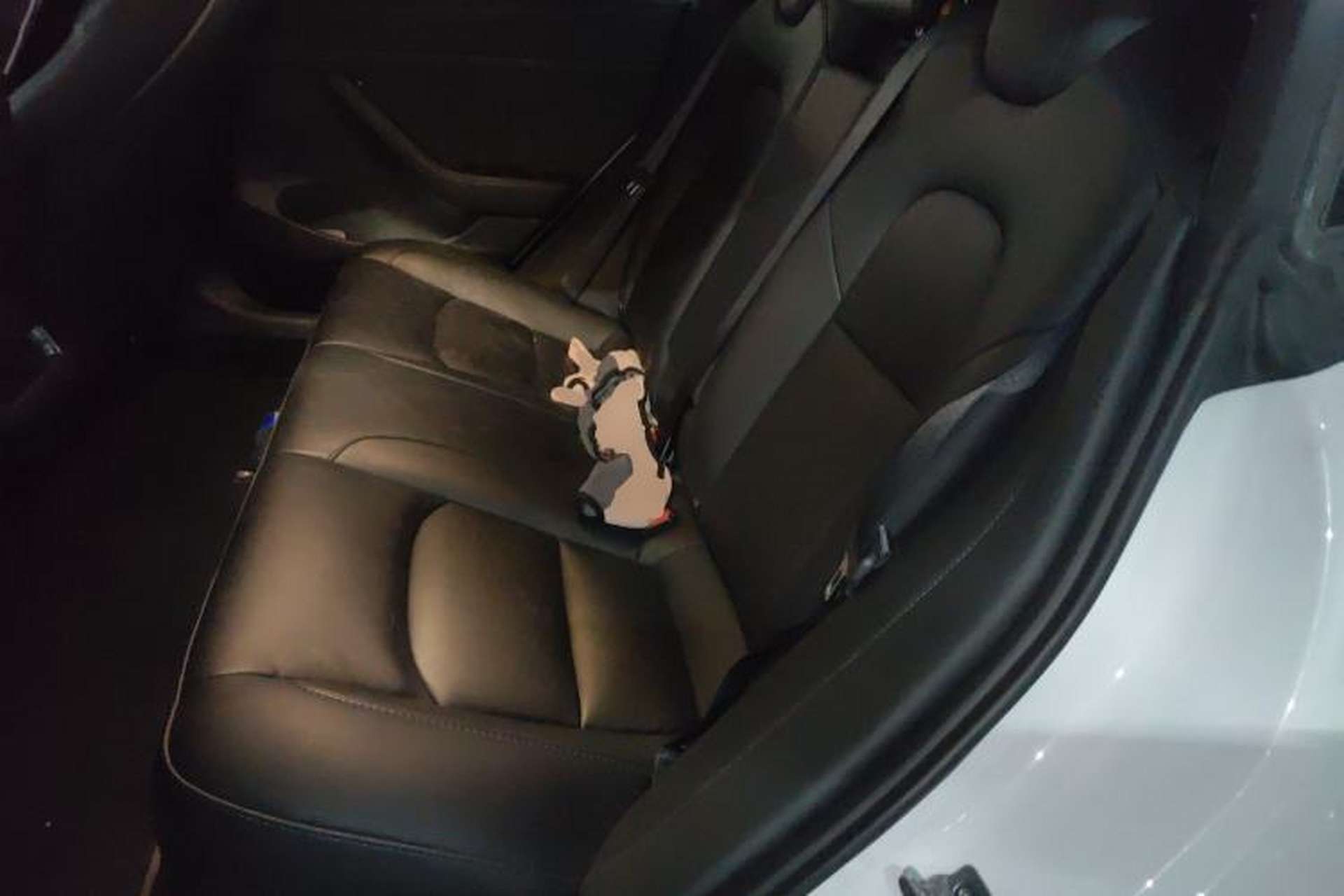 Used Tesla Model 3 2022 Performance High-Performance All-Wheel-Drive Version Left Rear Seat
