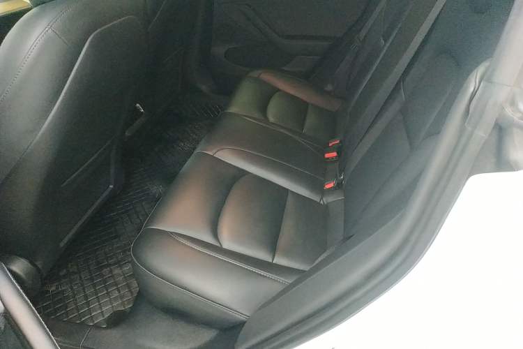 Used Tesla Model 3 2022 Rear-Wheel-Drive Version Left Rear Seat