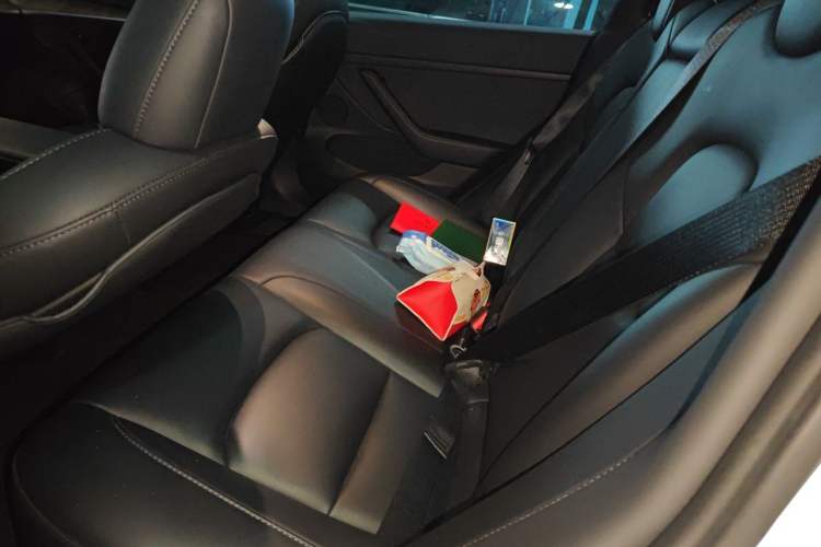 Used Tesla Model 3 2022 Rear-Wheel-Drive Version Left Rear Seat