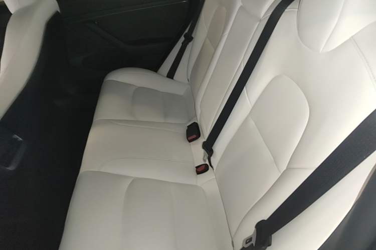 Used Tesla Model 3 2022 Rear-Wheel-Drive Version Left Rear Seat