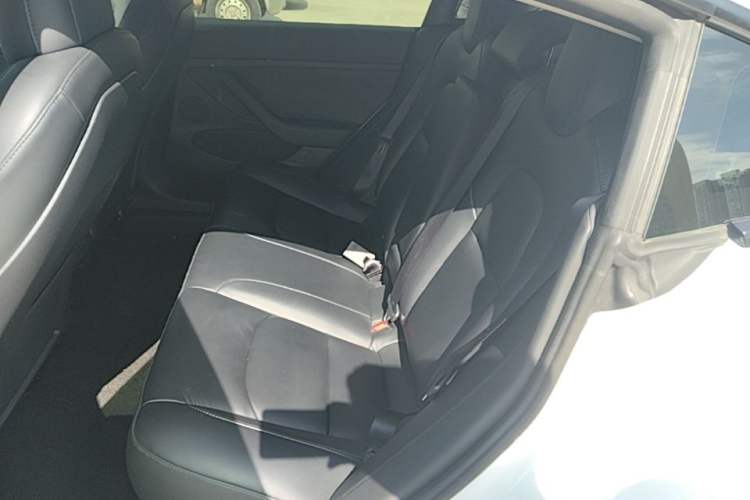 Used Tesla Model 3 2022 Rear-Wheel-Drive Version Left Rear Seat
