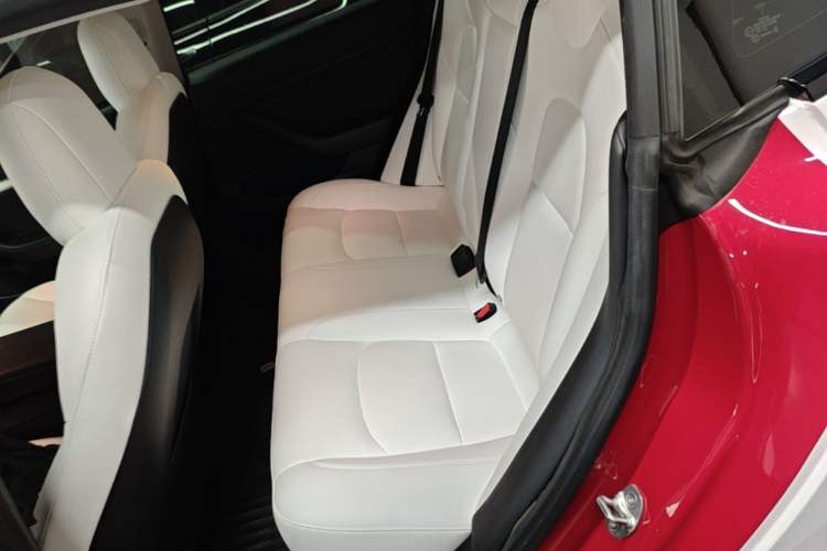 Used Tesla Model 3 2022 Rear-Wheel-Drive Version Left Rear Seat