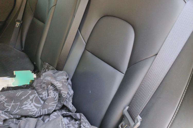 Used Tesla Model 3 2022 Rear-Wheel-Drive Version Left Rear Seat