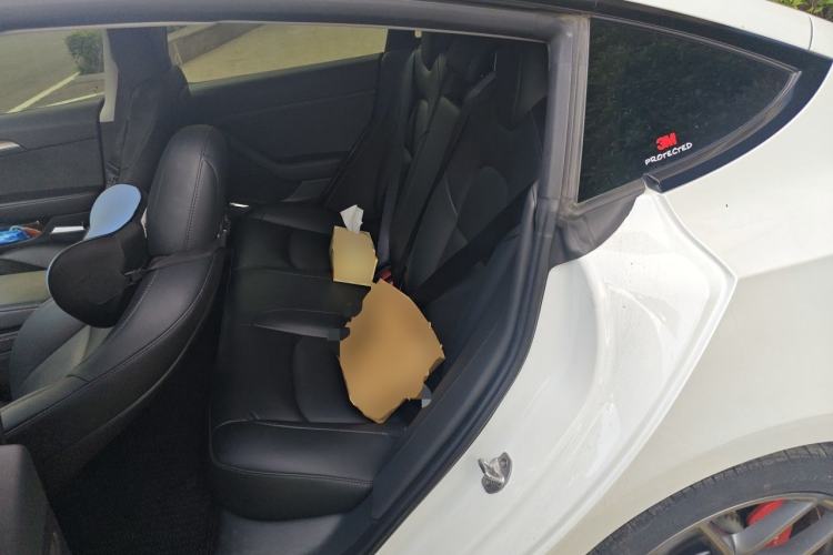 Used Tesla Model 3 2022 Performance High-Performance All-Wheel-Drive Version Left Rear Seat