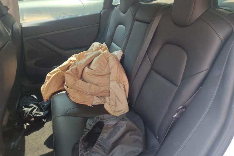 Used Tesla Model 3 2022 Rear-Wheel-Drive Version Left Rear Seat