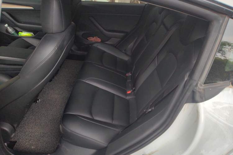 Used Tesla Model 3 2022 Rear-Wheel-Drive Version Left Rear Seat