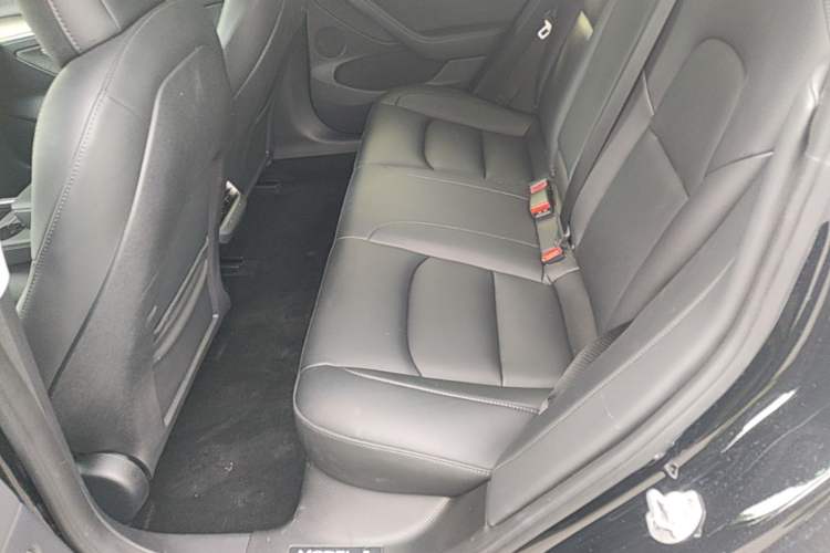 Used Tesla Model 3 2022 Rear-Wheel-Drive Version Left Rear Seat
