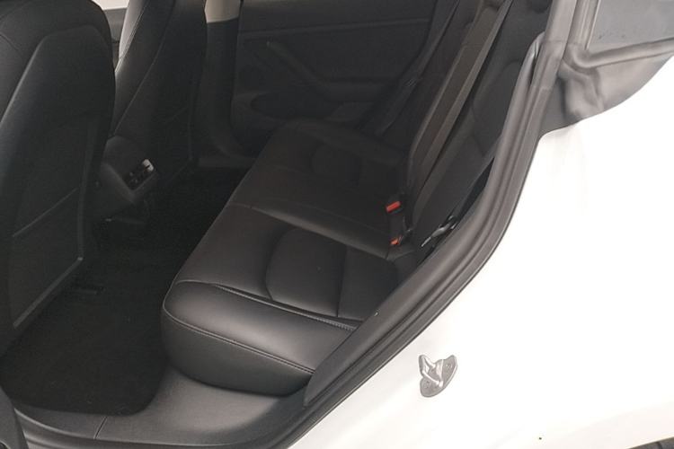 Used Tesla Model 3 2022 Rear-Wheel-Drive Version Left Rear Seat