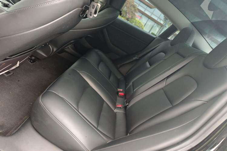 Used Tesla Model 3 2022 Rear-Wheel-Drive Version Left Rear Seat
