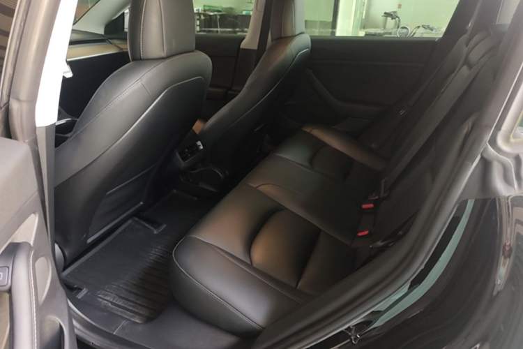 Used Tesla Model 3 2022 Rear-Wheel-Drive Version Left Rear Seat