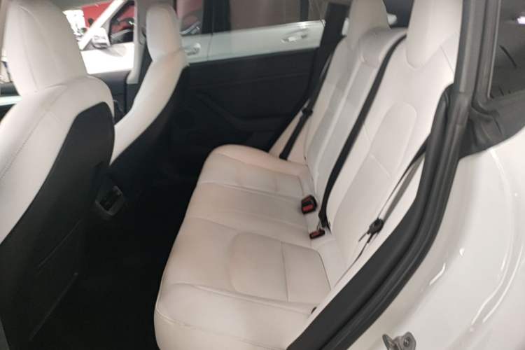 Used Tesla Model 3 2022 Rear-Wheel-Drive Version Left Rear Seat