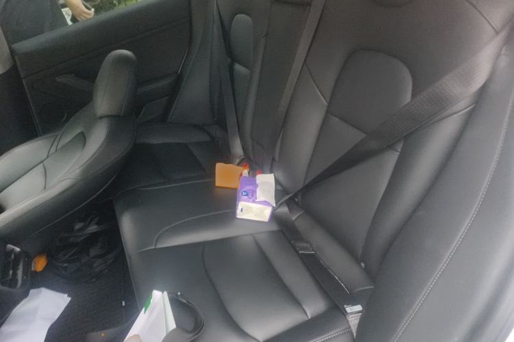 Used Tesla Model 3 2022 Rear-Wheel-Drive Version Left Rear Seat