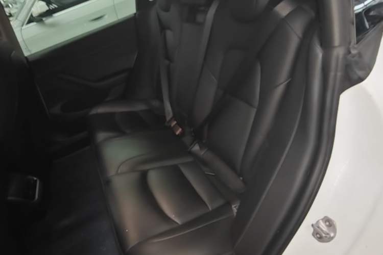 Used Tesla Model 3 2022 Rear-Wheel-Drive Version Left Rear Seat