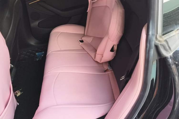 Used Tesla Model 3 2022 Rear-Wheel-Drive Version Left Rear Seat