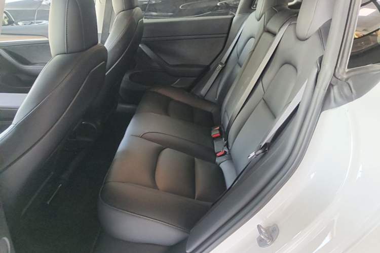 Used Tesla Model 3 2022 Rear-Wheel-Drive Version Left Rear Seat