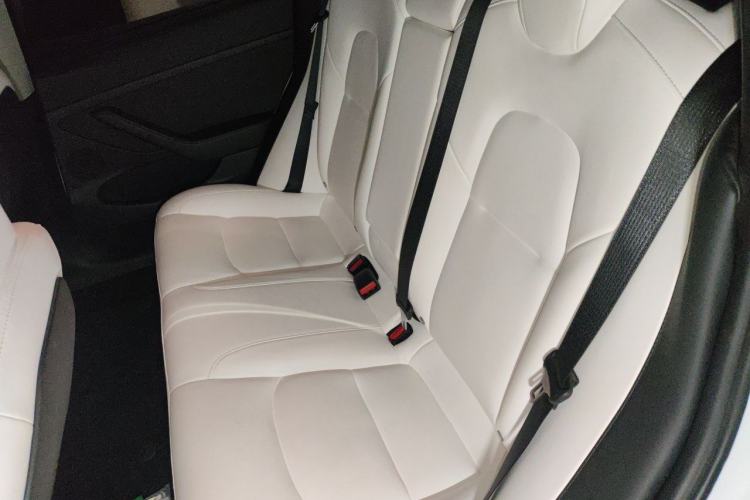 Used Tesla Model 3 2022 Rear-Wheel-Drive Version Left Rear Seat