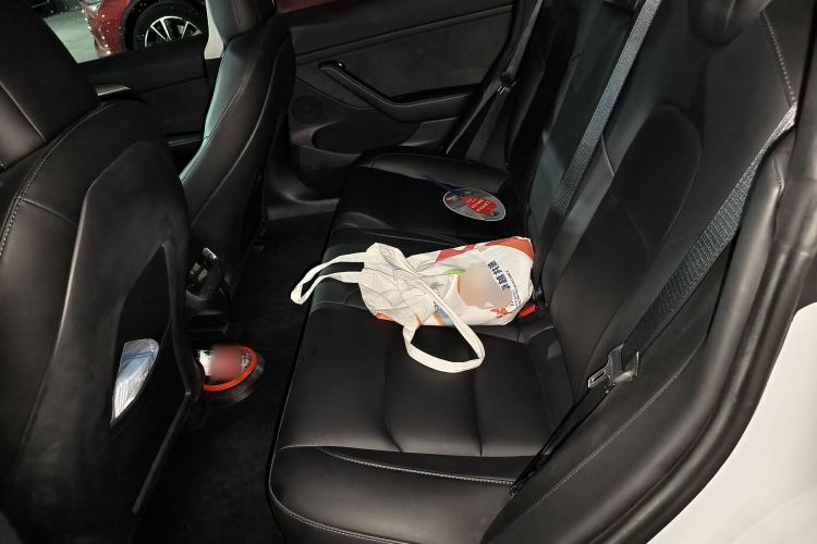 Used Tesla Model 3 2022 Rear-Wheel-Drive Version Left Rear Seat