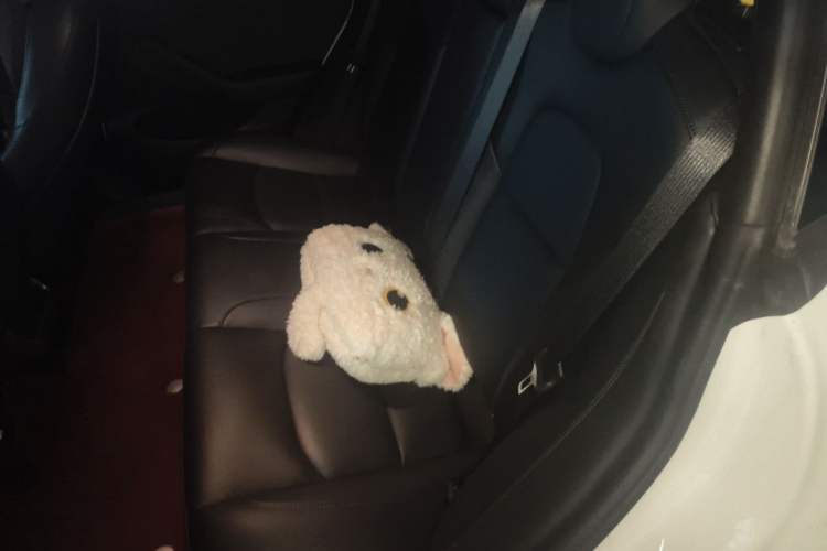 Used Tesla Model 3 2022 Rear-Wheel-Drive Version Left Rear Seat