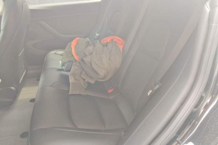 Used Tesla Model 3 2022 Rear-Wheel-Drive Version Left Rear Seat