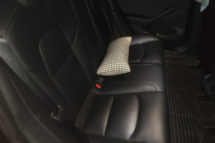 Used Tesla Model 3 2022 Rear-Wheel-Drive Version Left Rear Seat