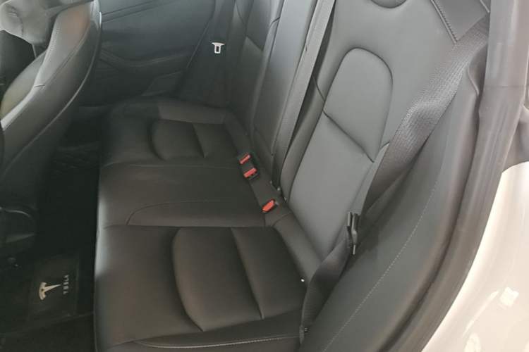 Used Tesla Model 3 2022 Rear-Wheel-Drive Version Left Rear Seat