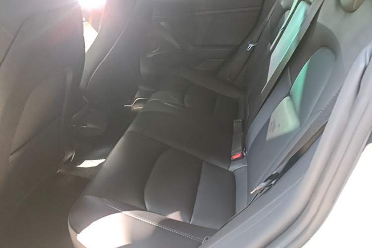Used Tesla Model 3 2022 Rear-Wheel-Drive Version Left Rear Seat