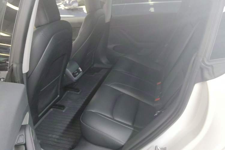 Used Tesla Model 3 2022 Rear-Wheel-Drive Version Left Rear Seat